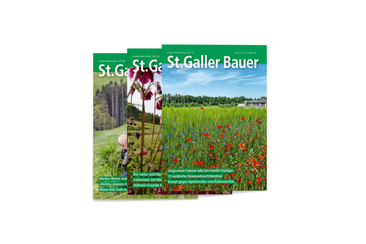 Shop - St. Galler Bauer