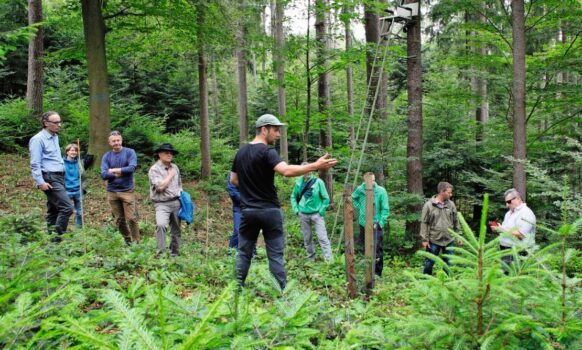 Hochsitz im Jungwald: Sebastian Lanker erklärt an der Begehung, wie Forst und Jagd zusammenarbeiten können.