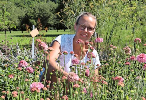 In Manuela Gigers Blumenfeld blühen übers Jahr rund 80 verschiedene Pflanzen.