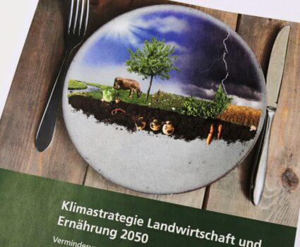 Die Landwirtschaft soll mit neuer Klimastrategie nachhaltiger werden. Bilder: lid.