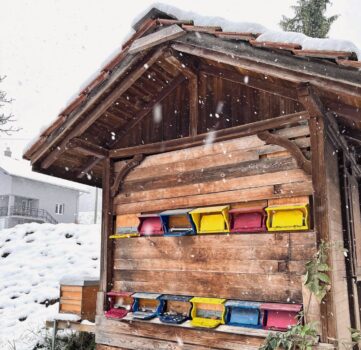 In den Wintermonaten liegt der Fokus auf der Überwachung der Bienenstände und der Vorbereitung auf die nächste Saison. Bilder: Bienen Schweiz