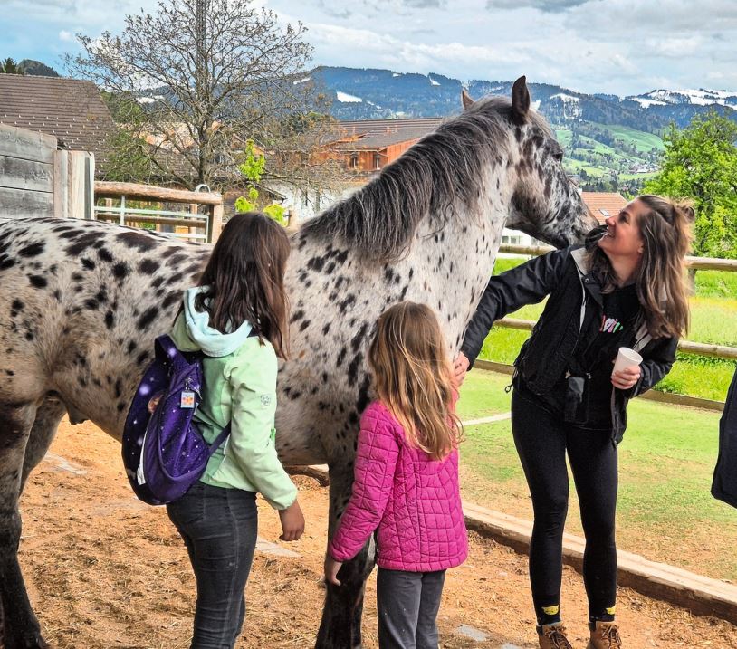 Auf Tuchfühlung. Die Begegnungen zwischen Pferden und Besuchern waren von gegenseitigem Interesse geprägt.